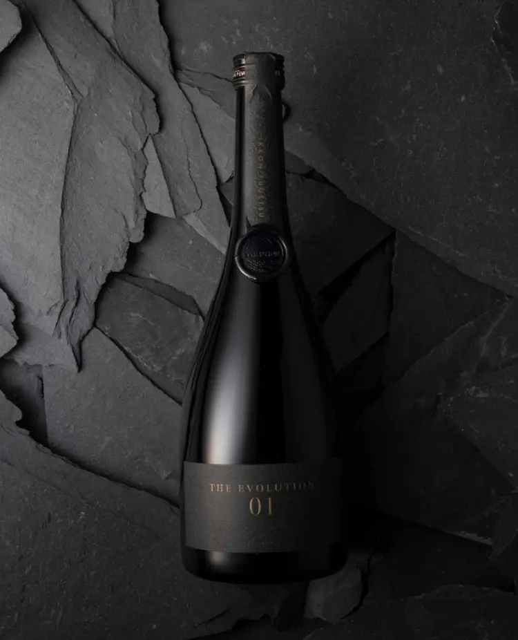 THE EVOLUTION01